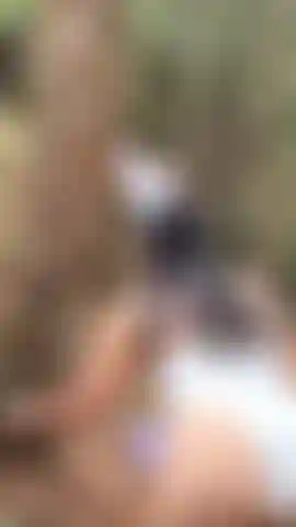 Happy Easter, I love being able to share it with you.