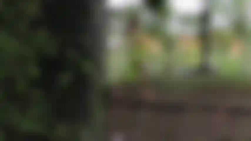 La intimidad en la naturaleza hace que la ropa de maia caiga lentamente hasta quedar completamente desnuda para tocar su cuerpo descubierto.