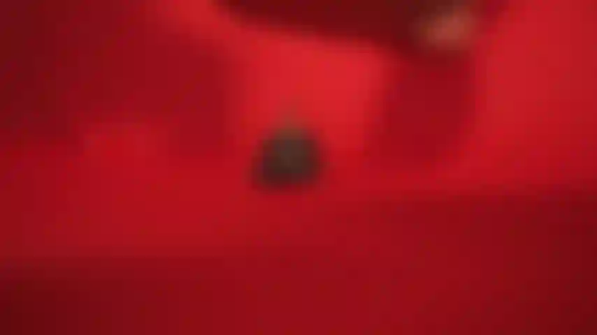 Un viaje de curiosidad y conexión.