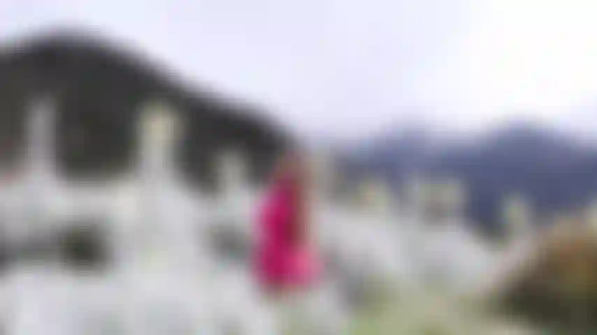 Conozco un poco de mi país.