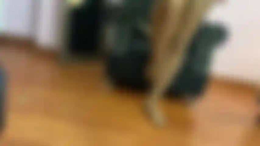 Modelo mis pantimedias para ti.