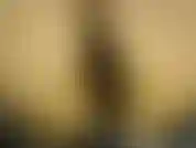 Relamiéndose los labios del coño, silbando, coqueteando! - Hay que ver para creer!!!