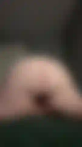 Ssbbw ass jiggle clap pussy moaning fat ass up