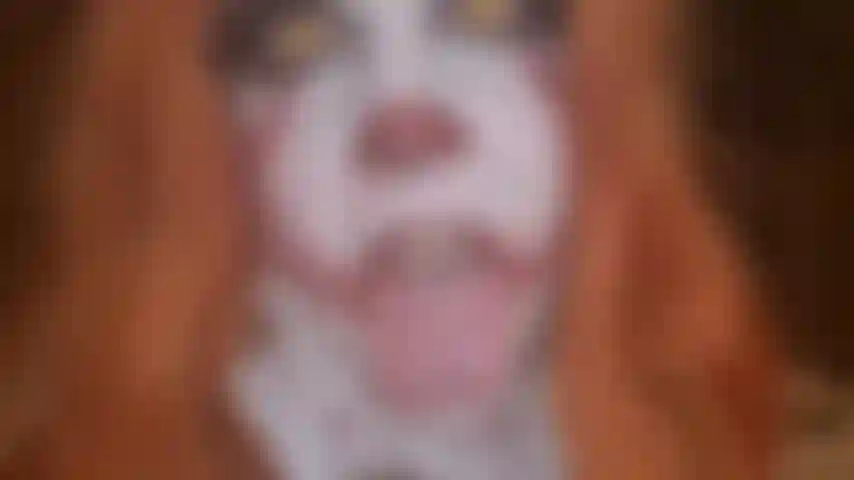 Cosplay de pe**ywise: juego de consoladores calientes.