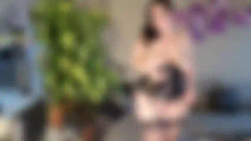 Deseo video: cumple los deseos del usuario.