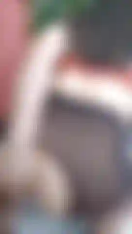 Aceite para pantimedias.