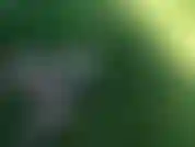 Video pacífico de mí corriéndome en un consolador en mi patio trasero!