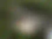 Ver ! De mi bosque masturbacion video! Juego de culo simple en una escena hermosa.