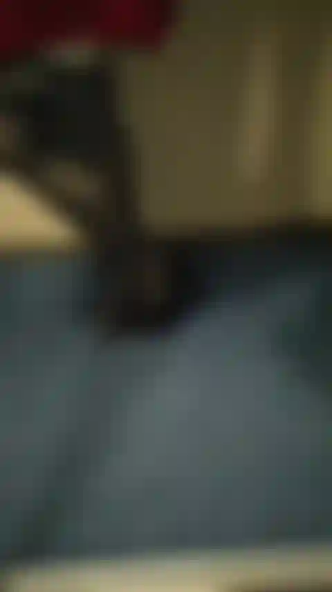 Piernas sexys en medias, tacones altos.