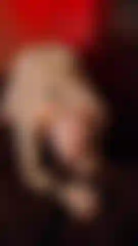 Strap in and strap on