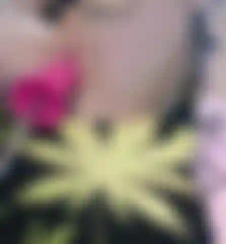 Mira cómo mi pequeño y apretado coño es golpeado por un gran juguete rosa.