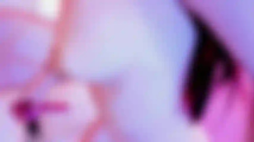 Voy en reversa y mi culo rebota.