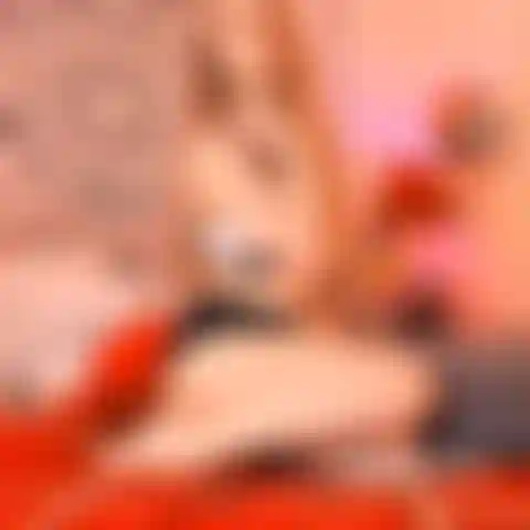 Las mejores posturas sexuales | cuando estoy de rodillas.