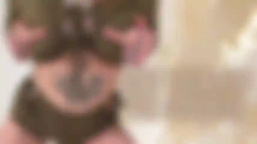 Hazte daño por la diosa cbt