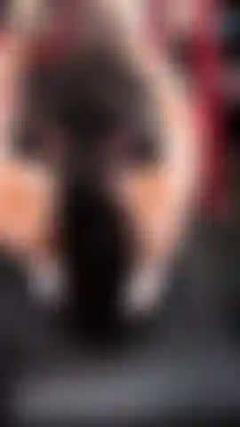 ¿Mamá musculosa? Entrenamiento de espalda 1.