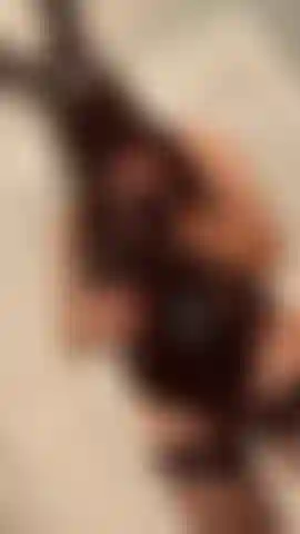 Strap on domme provoca.