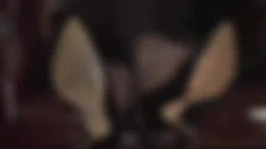 Lame mis zapatos sucios hasta dejarlos limpios. Los tobillos cruzados de mi ama te excitan muchísimo mientras balancea sus tacones negros de charol y te tienta con sus pies en medias. Tu recompensa: oler y lamer estos maravillosos dedos de nailon.