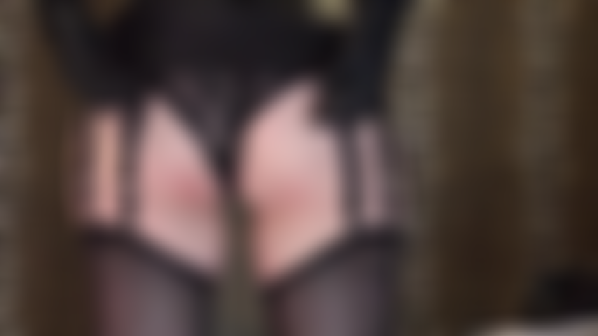 Adoro la lencería: bragas sexys de encaje negro, liguero de 12 tiras y medias. Adora las maravillosas curvas de tu diosa.