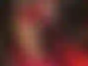 Una seductora dama de rojo. Mi ama sabe muy bien lo débil y excitada que estás por mis piernas en pantimedias doradas y brillantes. Con guantes rojos brillantes y un vestido cada vez más corto... Dios mío!