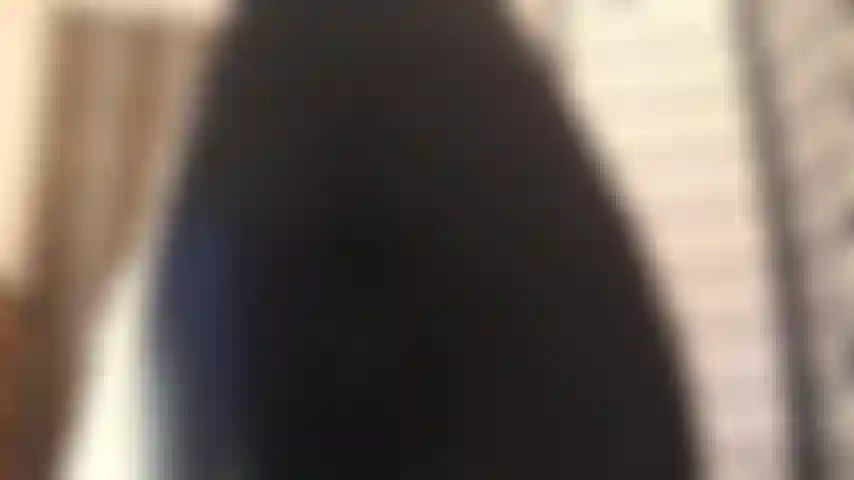 Limpia la suela de mis botas y hazlo bien. No te atrevas a meter la lengua. Mantenla afuera hasta que esté contenta.