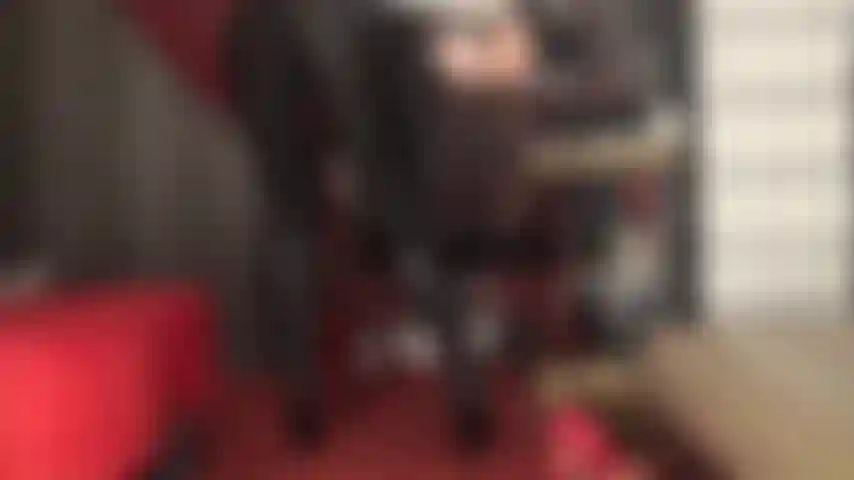 Ama te tengo llena de deseos de acariciar tu polla por todo este ajustado leggings de spandex negro y botas de cuero hasta la rodilla.