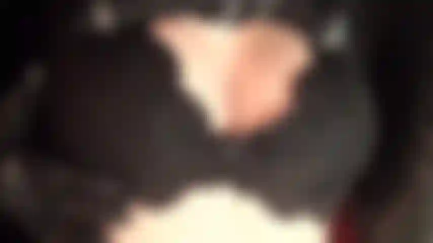 Escote sexy provocativo en sujetador de encaje negro y guantes de cuero.