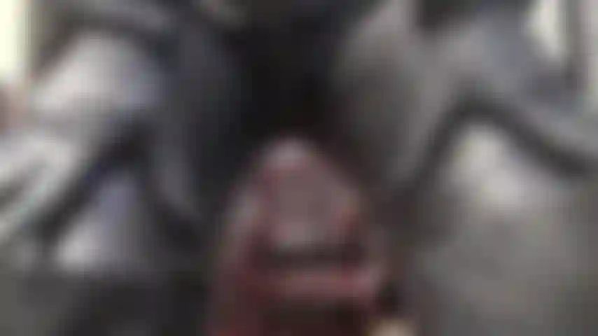 Vestida completamente de cuero negro, la amante vivian usa un traje de gato con cremallera, botas largas de cuero y guantes para complacer a los entusiastas del cuero.