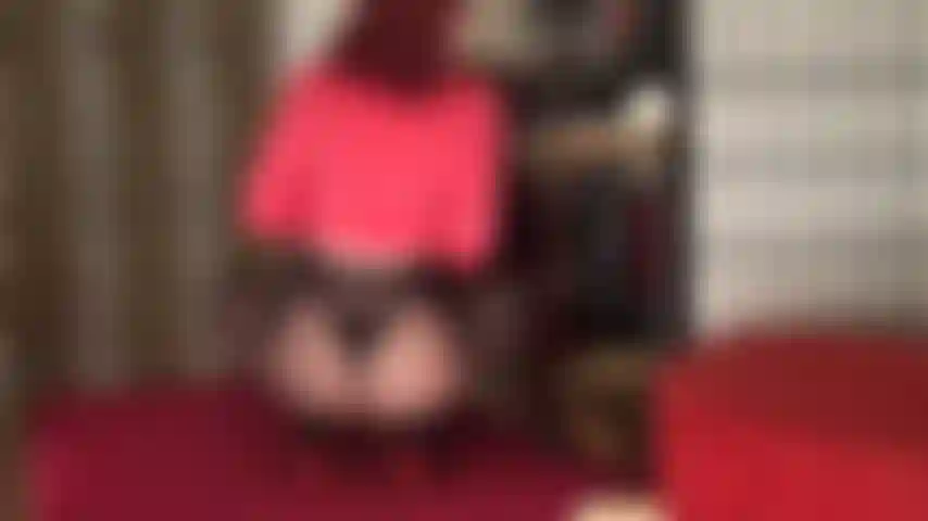 Tira de tu polla y tus bolas y ordéñate hasta secarte para mi fantástico culo, caderas y muslos en medias negras y muy transparentes.