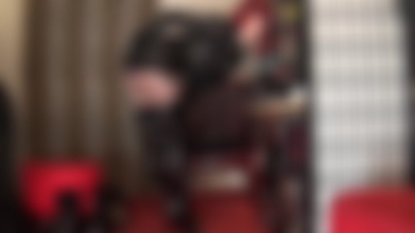 La señora vivian sabe que flexionar sus hermosos glúteos te vuelve loco. Adora su trasero perfecto con falda de cuero, bragas de satén y medias.