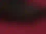 Fetiche de giganta: tu alta diosa de cuero juega con tu pequeño cuerpo y te aplasta bajo sus botas de aguja hasta que desapareces en la alfombra.