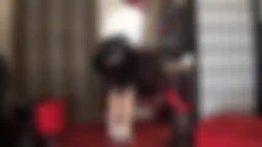 Te pajeas por el culo y la entrepierna de mi amante en mallas. Te pajeas sin parar. No puedes dejar de tocarte. Escúpete en la polla, nalguéala, pajéala, perdedora.