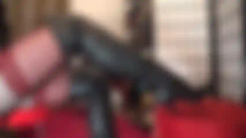 Fetichista de botas y guantes de cuero.