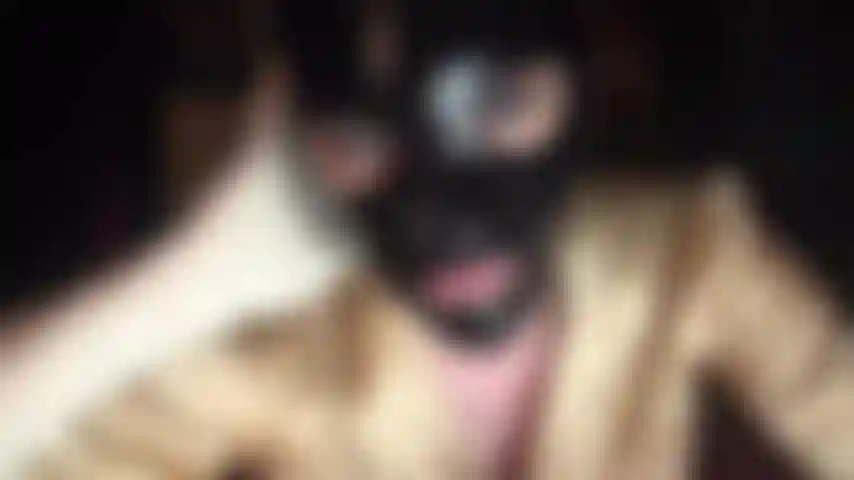 Fetichista del látex: capucha de goma negra brillante y guantes de látex blancos.