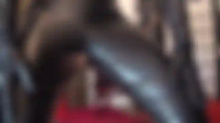 Adoradora de una diosa del cuero: un par de pantalones de cuero ajustados, guantes y botas altas hacen que tu corazón lata más rápido.