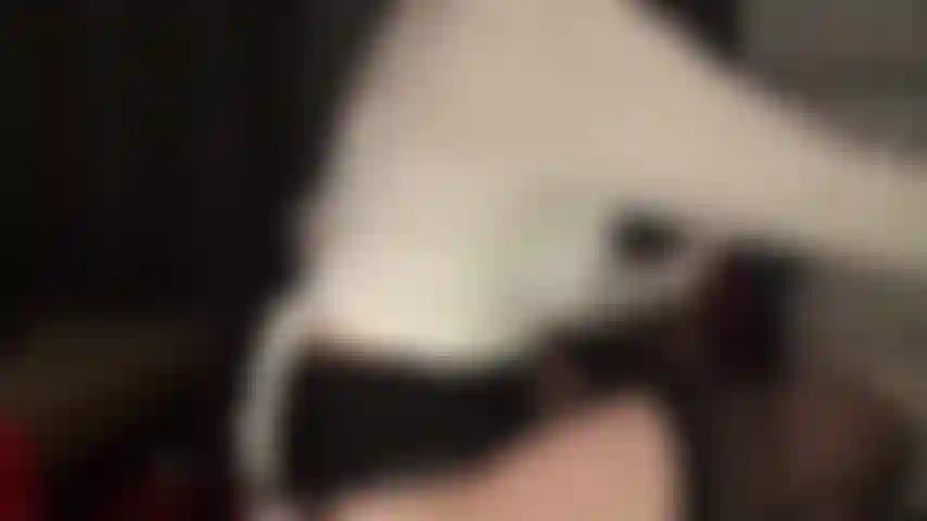 Amante del spandex: la amante muestra su increíble colección de medias de spandex, luego la observa cambiarse de medias y ligas a un par de leohex marrón brillante.