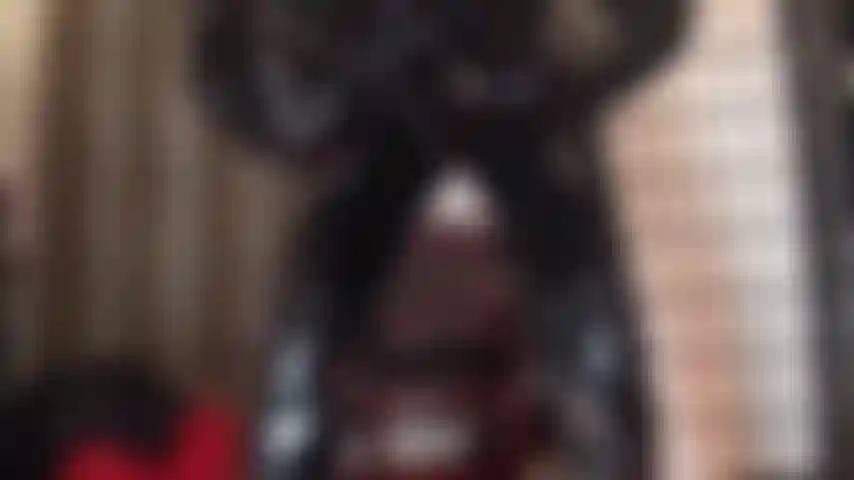 Perfección de pvc brillante: la amante se burla con un traje de gato de pvc negro que abraza las curvas, botas y guantes.