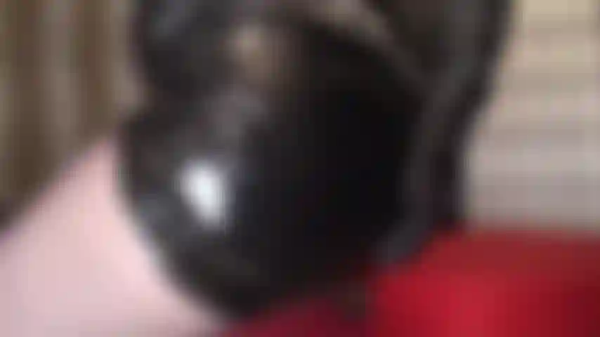 Adora mi culo en cuero negro y medias, mi culo te tiene débil en las rodillas, debes someterte a mis curvas perfectas en cuero y pantimedias.