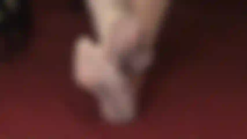 Medias con punta cosida, tan transparentes que son un deleite visual para cualquier lacayo.