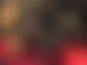 Adoración de pollas negras enormes.