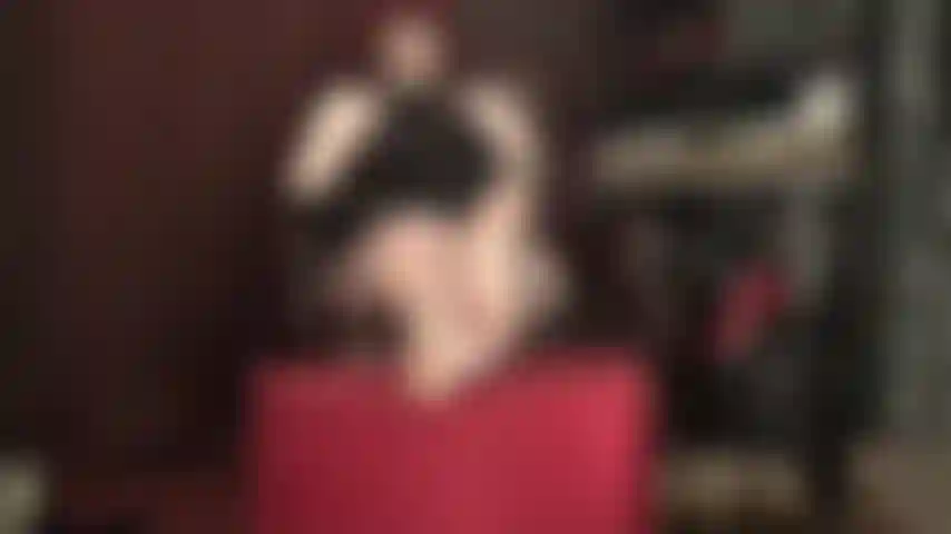 Tentadora, pies descalzos. Te arrodillas al otro lado de la habitación, con collar, correa y castidad, babeando. Harías cualquier cosa por acercarte y poder adorar las suaves y perfectas plantas de los pies de mi ama.