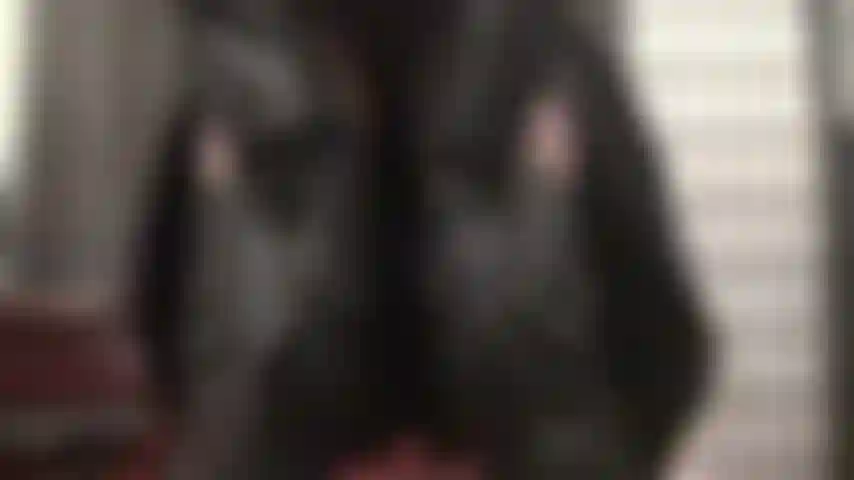 Cuero y encaje - el trasero que quieres besar y las caderas que quieres sentir empujando dentro de ti, bajo su largo abrigo de cuero.
