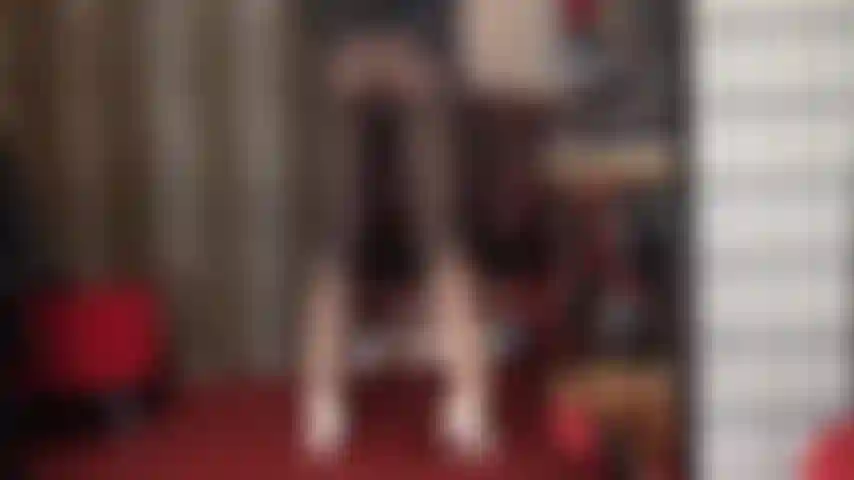 Adoro las pantimedias bicolor en blanco y negro.