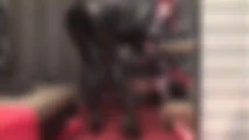 Cuanto más alta la tanga, más ganas tienes de pajeártela más fuerte que nunca. Desliza un par de dedos en tu ano, hazle cosquillas a ese semen mientras mi ama te vuelve loca con su ano y su paja brutal.