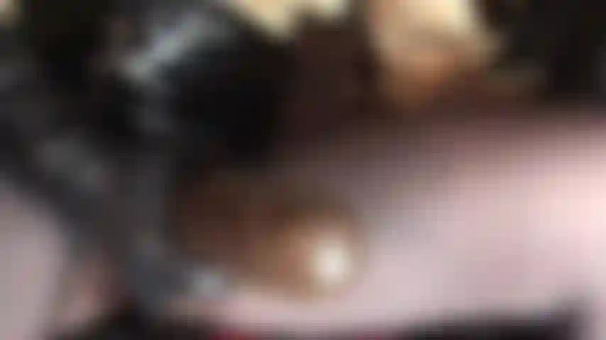 Un delicioso strap-on marrón chocolate, grueso y carnoso. ¡Bam es su nombre y bam! Se lo follaré en tu boca de puta.