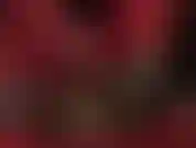 Fetichismo de pies, trabajo con los pies: tu polla de esclava cubierta de nailon es ordeñada por los suaves guantes rojos y los pies de pantimedias transparentes de tu diosa.