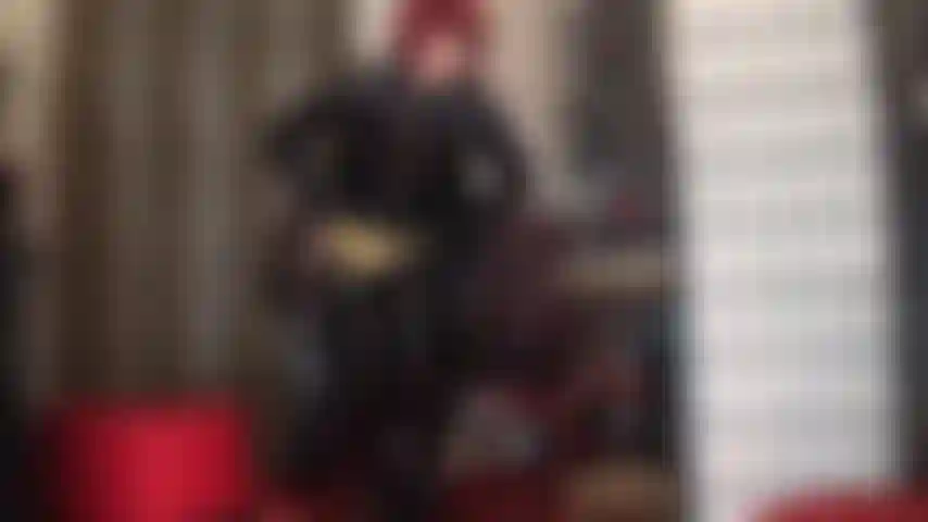 ¡Qué brillo! Bragas doradas metalizadas sobre liguero de doce tiras y medias que asoman por unas botas largas de charol. ¿Puede tu polla de esclava soportar la provocación?