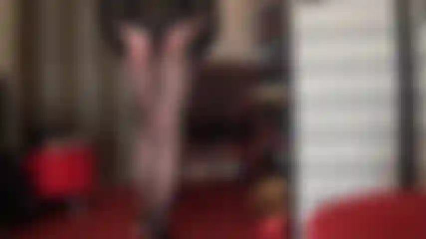 Bonitas medias con estampado en zigzag. Las fascinantes curvas de mi amante con estas medias tan especiales.