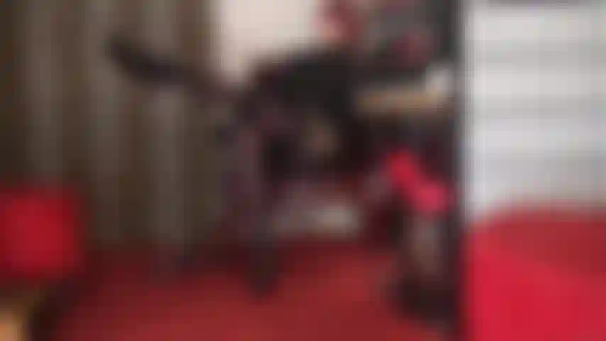 Seducción con medias y ligas: hay algo en las medias anchas con encaje y ligas sobre pantimedias que hace que tu polla de esclavo se ponga dura y palpitante...