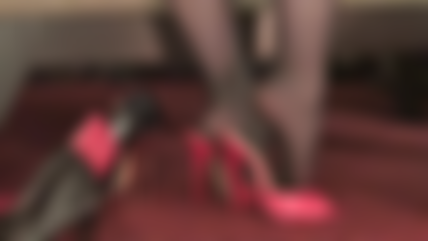 Los amantes de los tacones altos y los lacayos adoran los pies bellamente arqueados en pantimedias de la amante vivian en sandalias de tacón de aguja rojas.