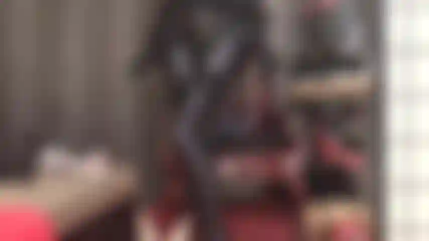 Lentamente, muy lentamente la amante sacará el semen de tu polla con su culo brillante, piernas y pies en medias de spandex leohex grises y medias de liga en capas.